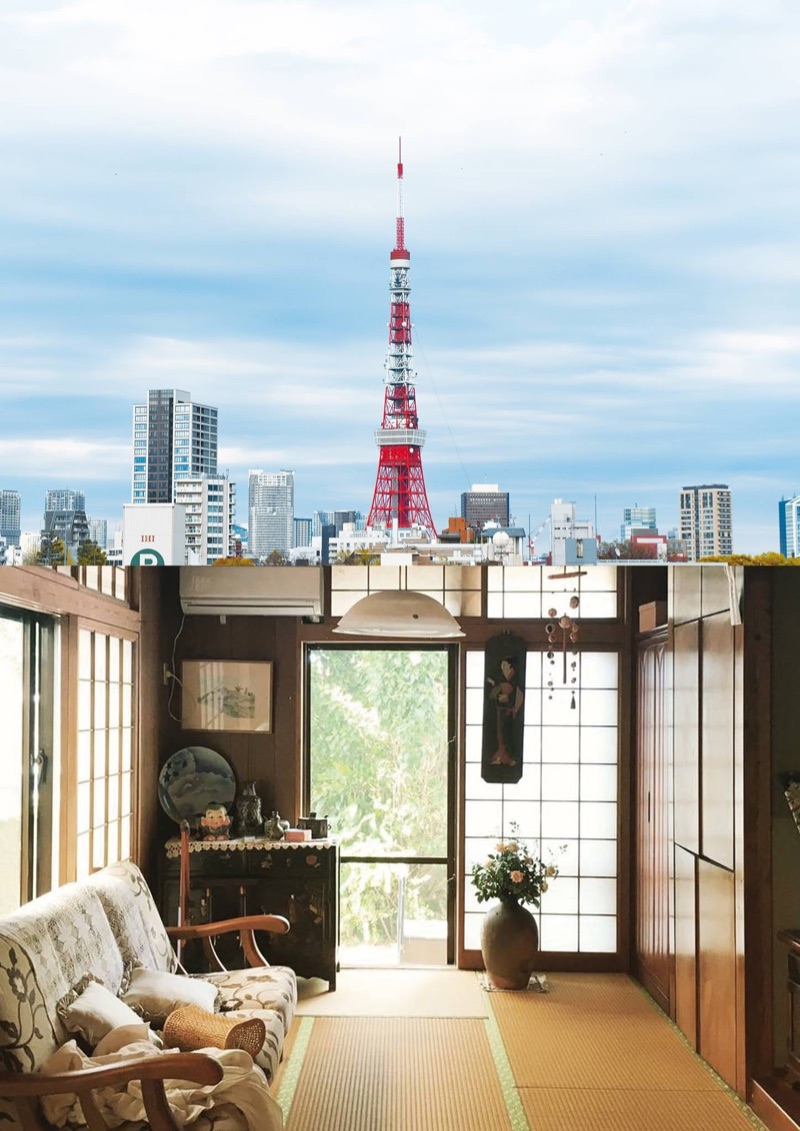 都会(東京)と、故郷・沖縄の祖母の家のコラージュ